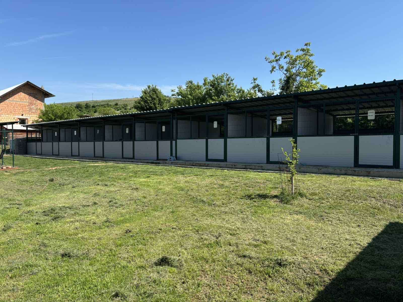 viber_image_2025-05-10_08-36-18-991